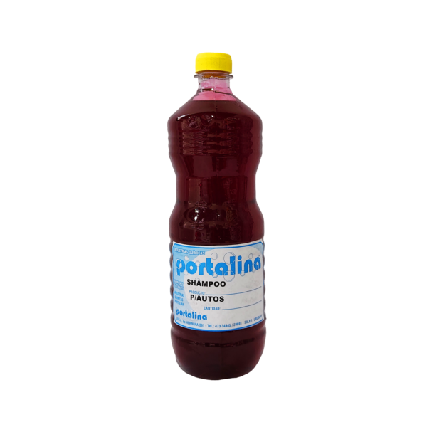 Shampoo para autos